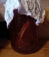 Kombucha selbst ansetzen Scoby Sachsen-Anhalt - Quedlinburg OT Gernrode Vorschau