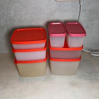 Tupperware Gefrierdosen Nordrhein-Westfalen - Minden Vorschau