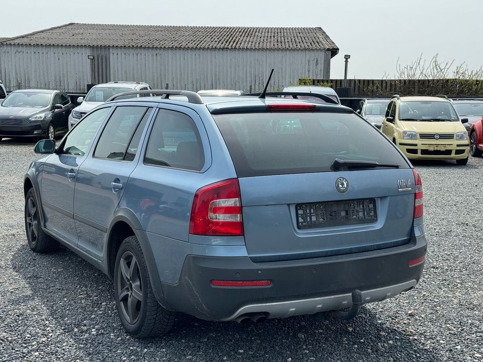 Skoda Octavia Combi Scout 4X4 Xenon in Flensburg