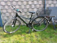 KETTLER Fahrrad 26 Zoll Schleswig-Holstein - Norderstedt Vorschau