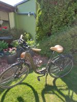 City Bike 28 Zoll Hoprider 7 Nexus 8 Sachsen-Anhalt - Wolfen Vorschau