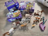 Schleich Tiere Pferde mit Set Zubehör Baden-Württemberg - Eggenstein-Leopoldshafen Vorschau