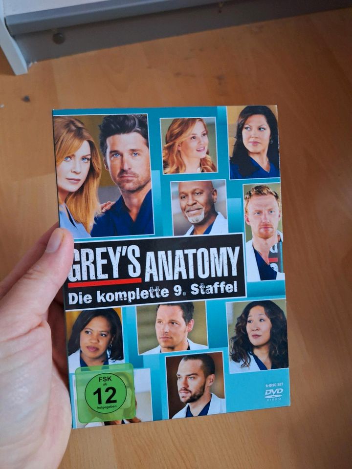 Greys Anatomy Staffel 9 in Ellwangen (Jagst)