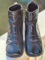 Stiefeletten von S.Oliver; Gr. 38 Bayern - Unterwössen Vorschau