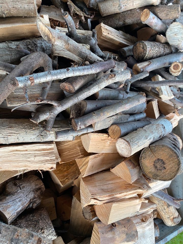 Suche Holz ! Brennholz, Naturholz, Bäume in Sachsen-Anhalt - Schkopau |  eBay Kleinanzeigen ist jetzt Kleinanzeigen