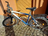 Herren-Mountainbike Bayern - Trogen Vorschau