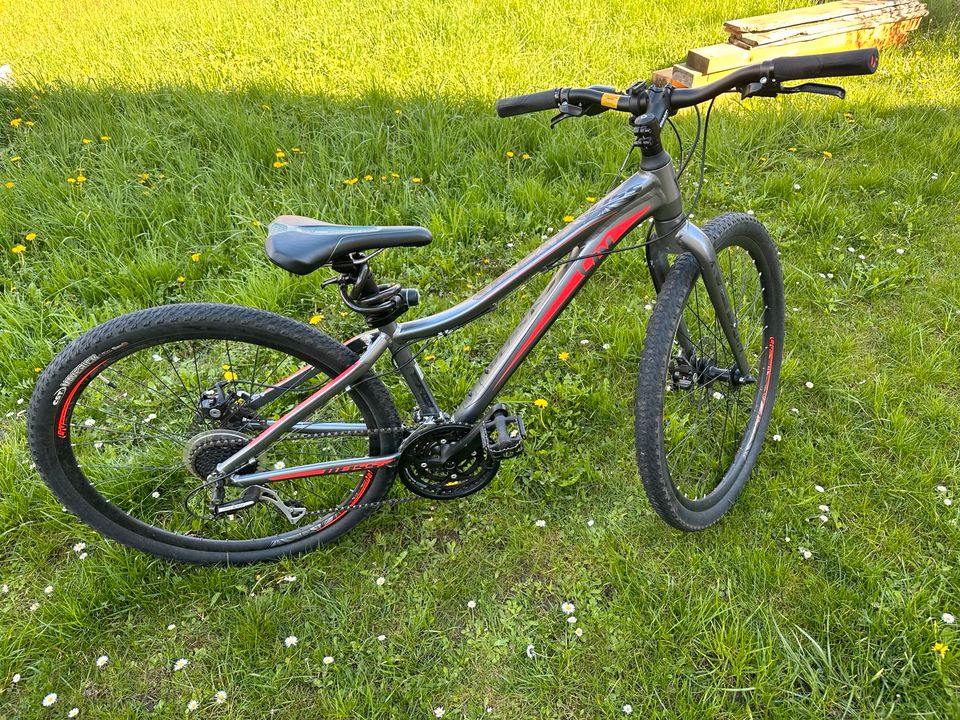 Liv Bliss Mountainbike Radhröße 27,5 Rahmen XS - Top in Dresden