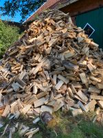 Holz Kaminholz Kamin Nordrhein-Westfalen - Lienen Vorschau