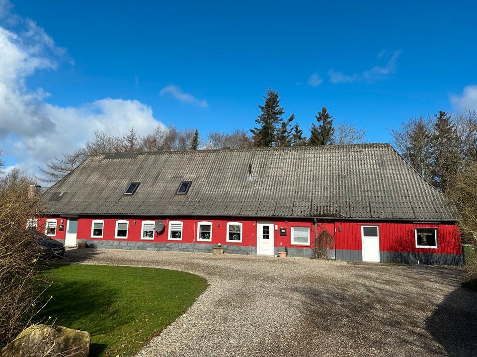 Großes Bauernhaus mit 4 Wohnungen in ruhiger Dorfrandlage! in Maasbüll