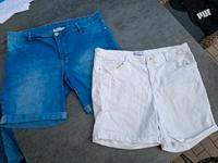 Damenshorts Hessen - Darmstadt Vorschau