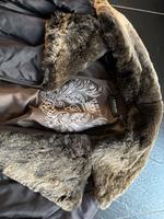 Wintermantel von Taifun mit Pelz Bayern - Friedberg Vorschau