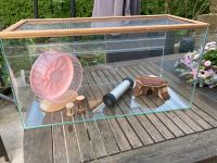 Hamsterkäfig Nagarium Glas Terrarium mit Zubehör Bucatstate Nordrhein-Westfalen - Lienen Vorschau
