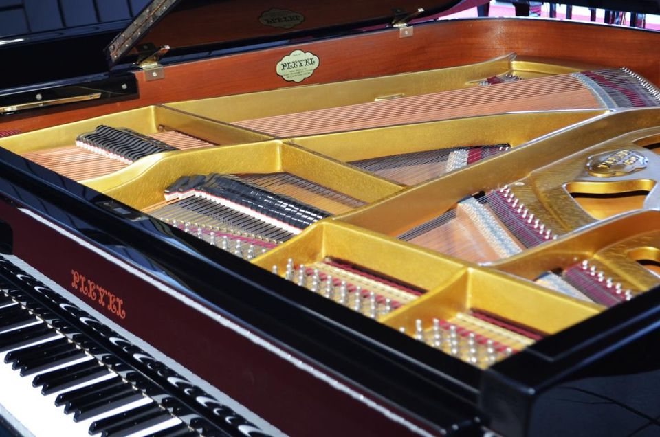 Schimmel Flügel Modell Pleyel Modell 175 in Michelau i. OFr.