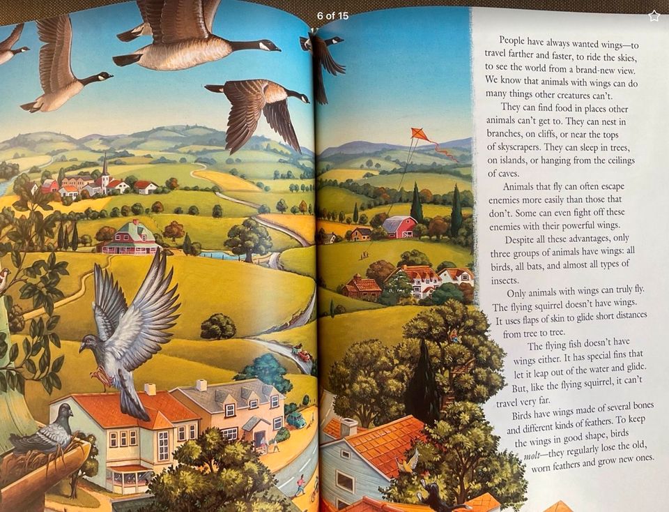 Kinderbuch: „A Pair of Wings“, engl. Sprache, neu in Borstel-Hohenraden