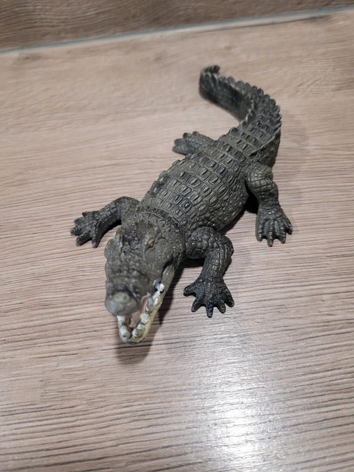 Schleich Krokodil in Meeder