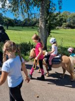 Ponyclub Kinder reiten ab 3,5 J. Rheinland-Pfalz - Baumholder Vorschau