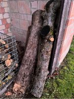 Holz Apfelbaum Obstbaumholz Drechselholz Niedersachsen - Bilshausen Vorschau