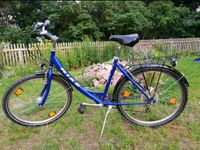 Fahrrad 26 Zoll Rixe blau Shimano Nexus Schaltung Brandenburg - Panketal Vorschau