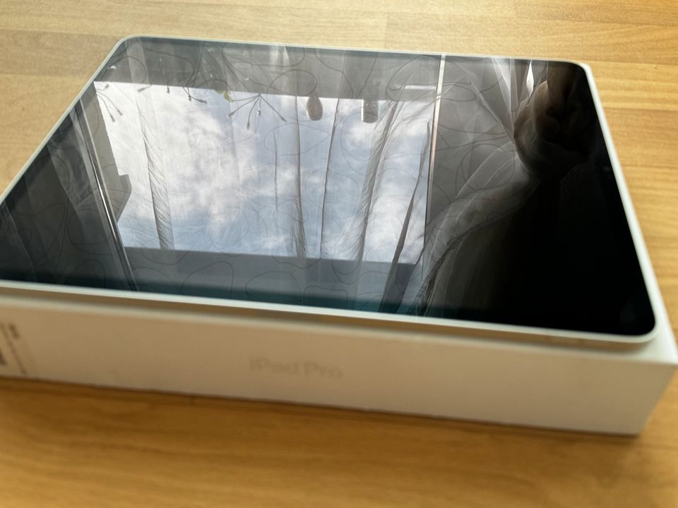 Apple iPad Pro 2022 12.9 M2 256GB Wifi Silver 1 Monat alt in Berlin