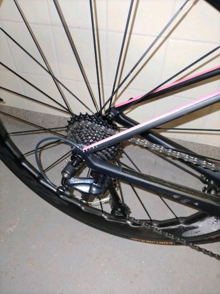 Cube Axial PRO Carbon in Hamburg