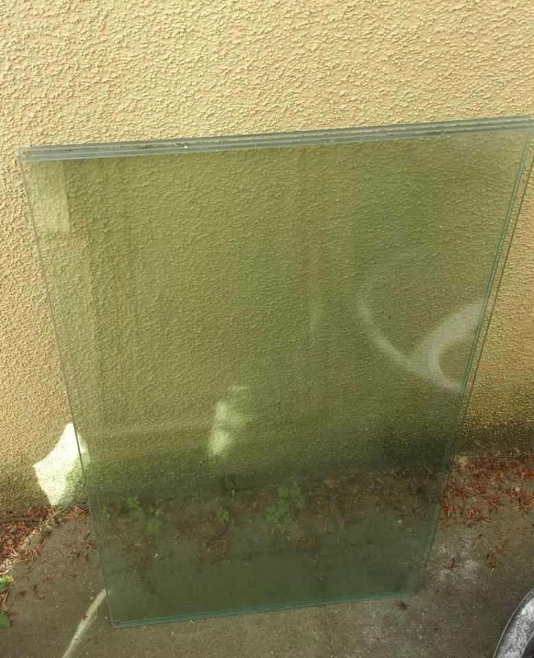 47 Stck. Glasscheiben 5 mm,  45 x 82,5 cm in Detmold