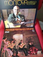 Flamenco-Sammlung 30x Vinyl-LPs La Singla, Paco, Montoya, Manitas Altona - Hamburg Lurup Vorschau