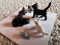 Playmobil Katzen Familie , kitten, Katzen und Kätzchen Nordrhein-Westfalen - Korschenbroich Vorschau