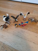 Schleich Vögel Neuhausen-Nymphenburg - Neuhausen Vorschau