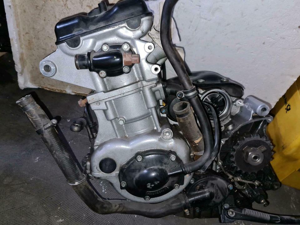 Triumph Sprint RS 955i Motor in Wesel
