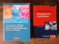 Bayerischer Bildungs- und Erziehungsplan BEP + weiteres Fachbuch Leipzig - Sellerhausen-Stünz Vorschau