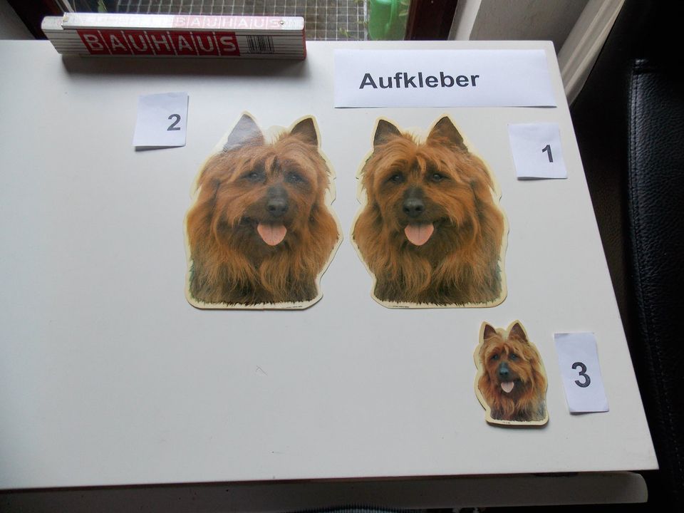 Terrier, Aufkleber in Preetz