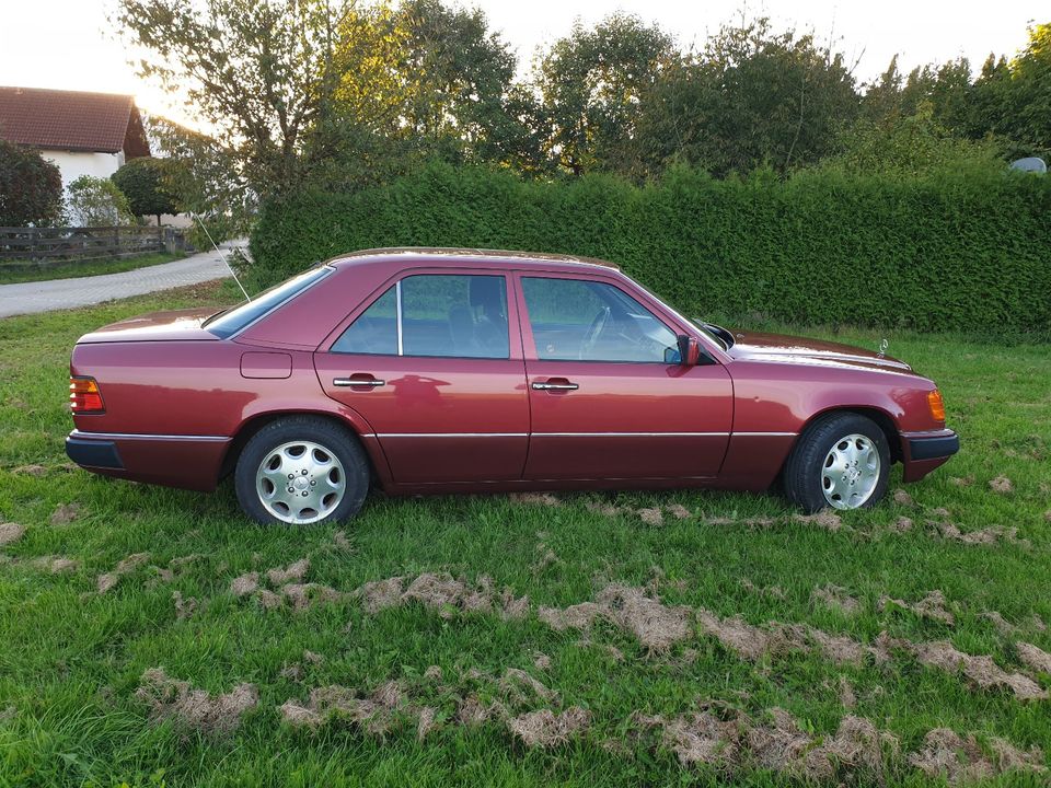 Mercedes-Benz 220 E LPG/Benzin in Mainburg