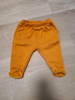 Babyhose gefüttert Gr. 74 Nordrhein-Westfalen - Hilden Vorschau