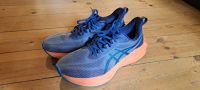 ASICS Novablast 3 LE Pankow - Weissensee Vorschau