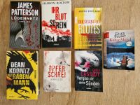 Bücher Thriller Baden-Württemberg - Geislingen Vorschau