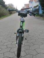 Puky 16 Zoll Fahrrad Brandenburg - Oberkrämer Vorschau
