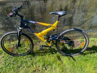 26" Mountainbike RALEIGH HONCHO Sachsen-Anhalt - Mücheln (Geiseltal) Vorschau