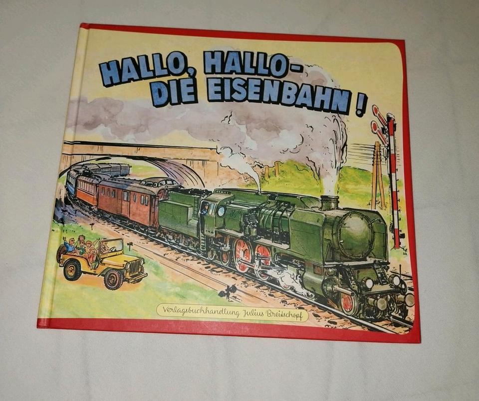 Bilderbuch "Hallo, hallo-die Eisenbahn" - TOP in Hofheim am Taunus