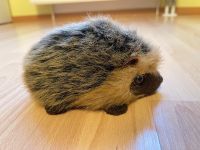 Igel Kuscheltier von Teddy Hermann Bayern - Alzenau Vorschau