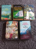 Bücherpaket, Buch, für den Sommerurlaub, Roman Thriller Krimi Bayern - Obermichelbach Vorschau