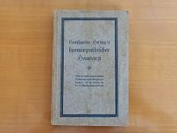 Homöopathie, altes Buch, C. Hering Sachsen-Anhalt - Lutherstadt Wittenberg Vorschau