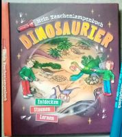 Taschenlampenbuch Dinosaurier Wandsbek - Hamburg Volksdorf Vorschau