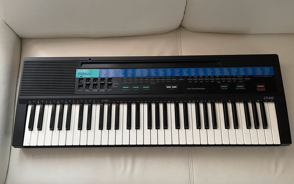 Casio 210 2024 tone bank