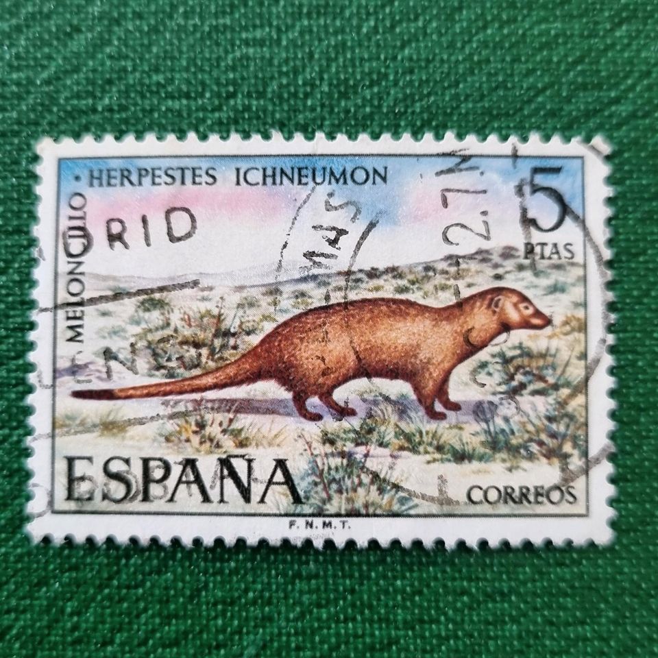 Spanien Buschteufel Manguste Raubtier Briefmarke #2273 in Aurich