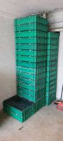25 Stapelboxen mit Deckel nach EU Norm TK / D600 lebensmittelecht Nordrhein-Westfalen - Werl Vorschau