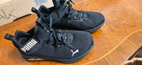 Pumaschuhe zu verkaufen Hessen - Kelsterbach Vorschau