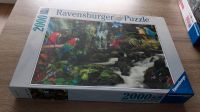 Ravensburger Puzzle Papageien im dschungel München - Schwabing-Freimann Vorschau