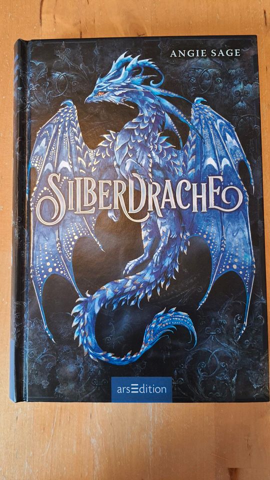 Jugendbuch Silberdrache, Angie Sage in Frankfurt am Main