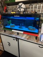 Aquarium 180 Liter Ubstadt-Weiher - OT Zeutern Vorschau