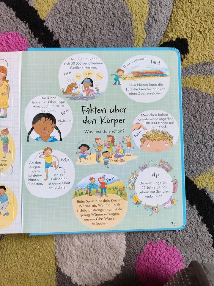 Kinderbuch Dein Körper in Chemnitz